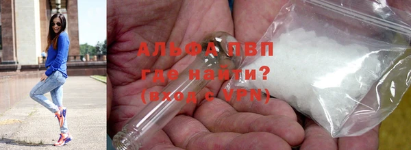 PSILOCYBIN Бронницы