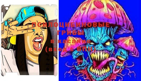 PSILOCYBIN Бронницы