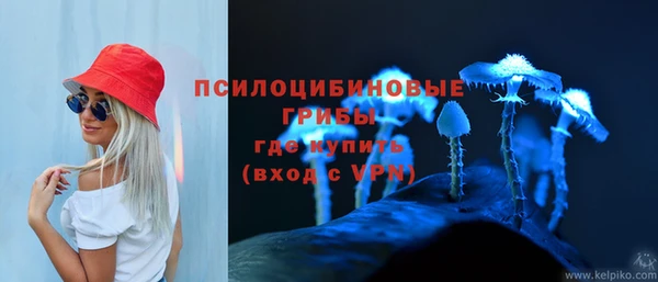 PSILOCYBIN Бронницы