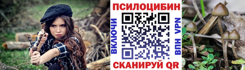 Псилоцибиновые грибы мицелий  Сыктывкар 